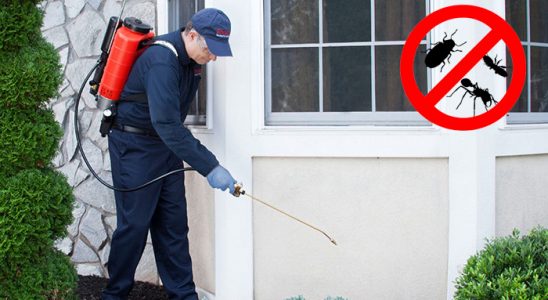 Köprüköy Akrep İlaçlama böcek ilaçlama ve haşere kontrolü — ilaclama-tr.com
